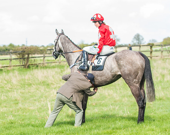 Race 3 - 4-5-6 Year Olds Open Maiden-39-2