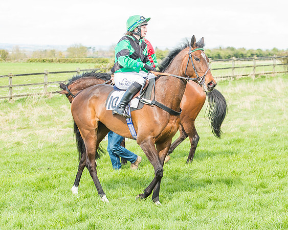 Race 3 - 4-5-6 Year Olds Open Maiden-39