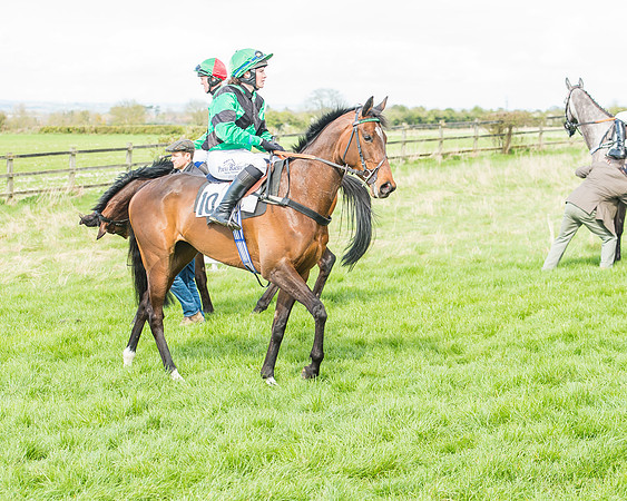 Race 3 - 4-5-6 Year Olds Open Maiden-40