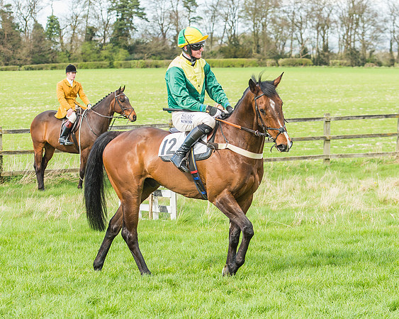 Race 3 - 4-5-6 Year Olds Open Maiden-41