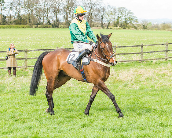 Race 3 - 4-5-6 Year Olds Open Maiden-42