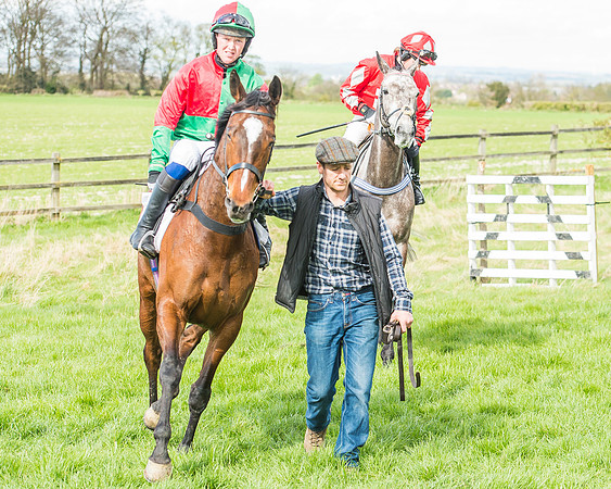Race 3 - 4-5-6 Year Olds Open Maiden-43