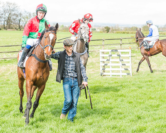 Race 3 - 4-5-6 Year Olds Open Maiden-44