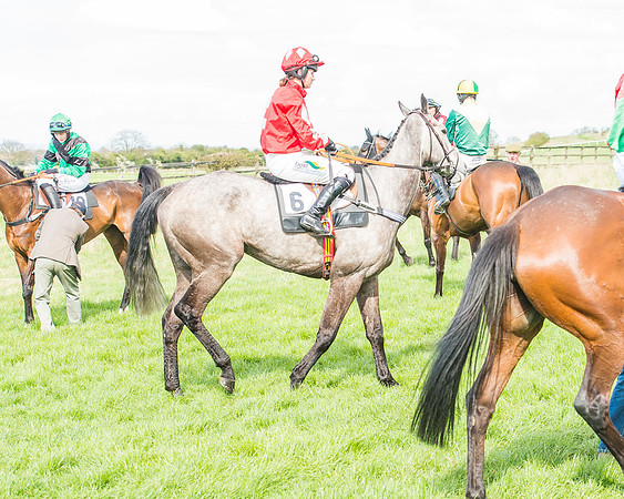 Race 3 - 4-5-6 Year Olds Open Maiden-45