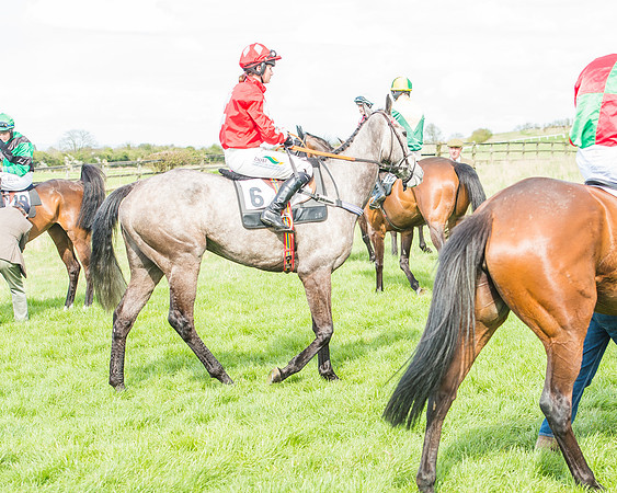 Race 3 - 4-5-6 Year Olds Open Maiden-46