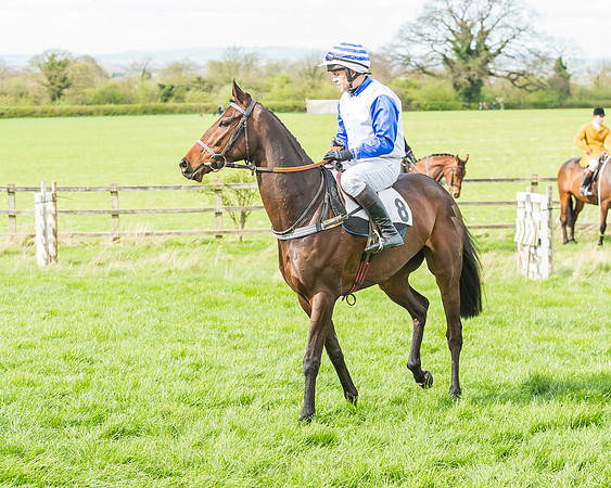 Race 3 - 4-5-6 Year Olds Open Maiden-47
