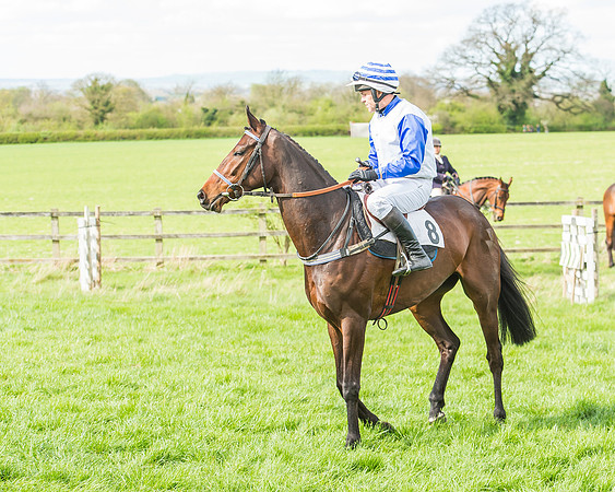 Race 3 - 4-5-6 Year Olds Open Maiden-48