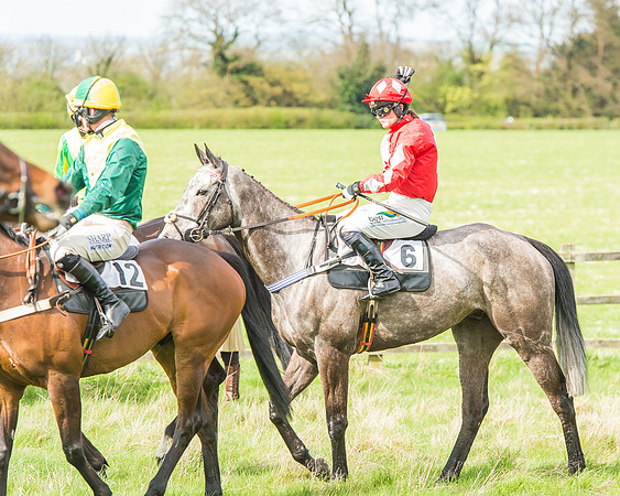 Race 3 - 4-5-6 Year Olds Open Maiden-49
