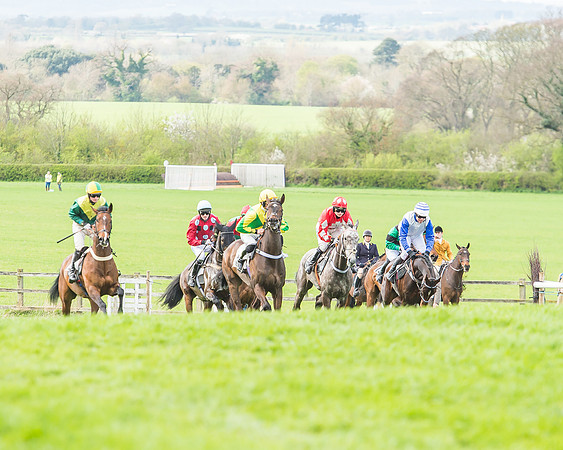 Race 3 - 4-5-6 Year Olds Open Maiden-51