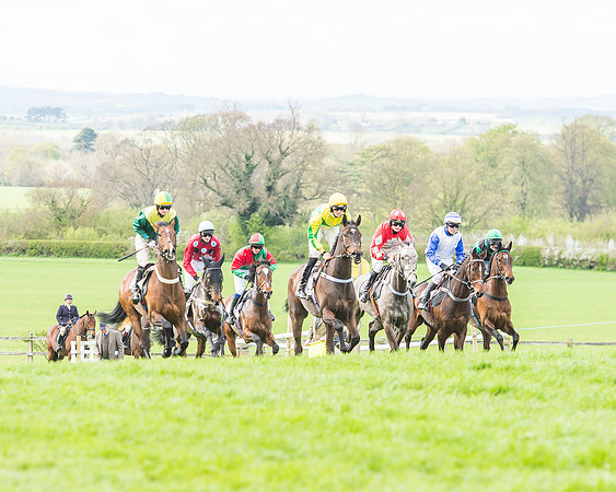 Race 3 - 4-5-6 Year Olds Open Maiden-52