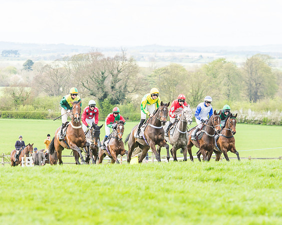 Race 3 - 4-5-6 Year Olds Open Maiden-53