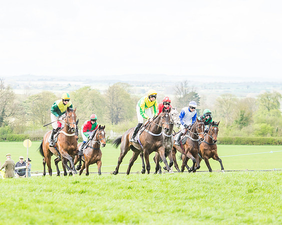 Race 3 - 4-5-6 Year Olds Open Maiden-54