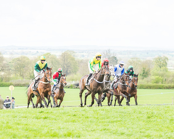 Race 3 - 4-5-6 Year Olds Open Maiden-55