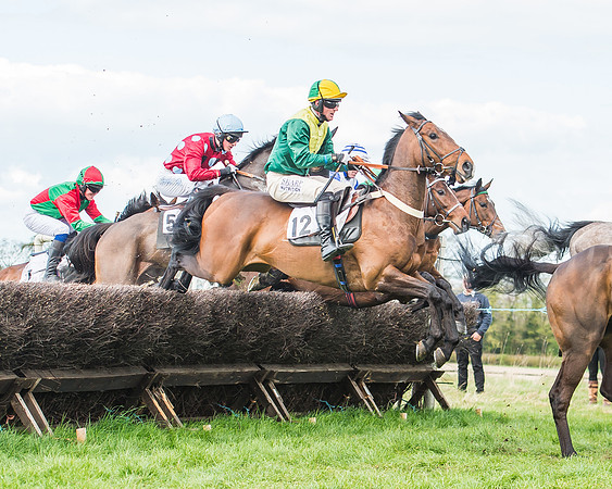 Race 3 - 4-5-6 Year Olds Open Maiden-61