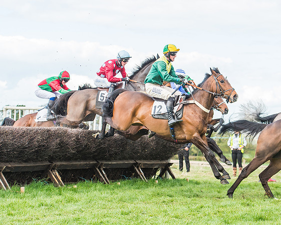 Race 3 - 4-5-6 Year Olds Open Maiden-62