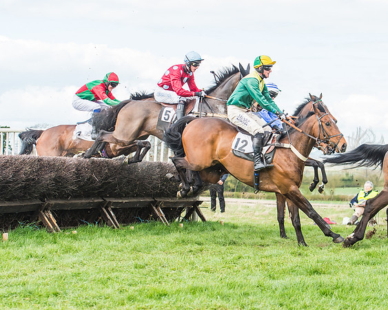 Race 3 - 4-5-6 Year Olds Open Maiden-63