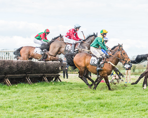 Race 3 - 4-5-6 Year Olds Open Maiden-64