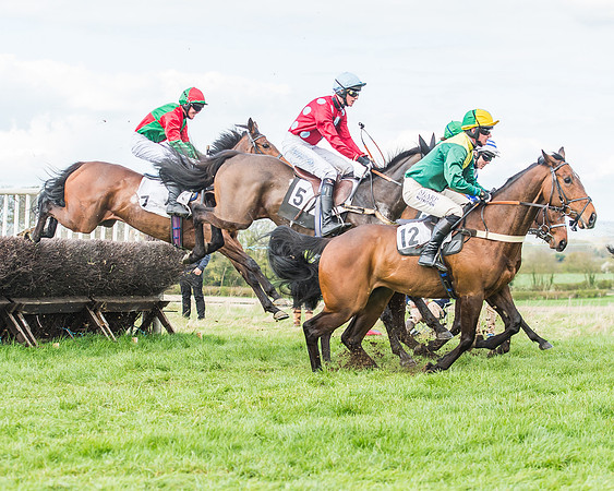 Race 3 - 4-5-6 Year Olds Open Maiden-65