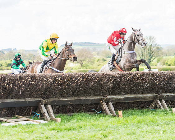 Race 3 - 4-5-6 Year Olds Open Maiden-66