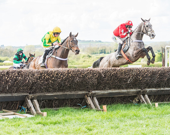 Race 3 - 4-5-6 Year Olds Open Maiden-67