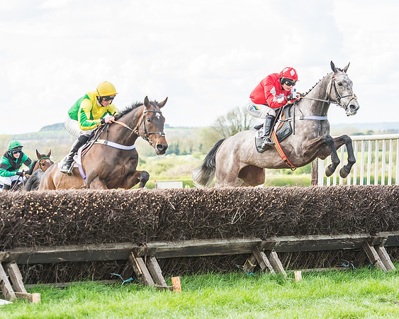 Race 3 - 4-5-6 Year Olds Open Maiden-68