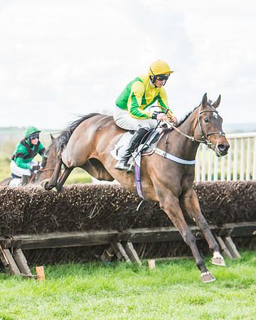 Race 3 - 4-5-6 Year Olds Open Maiden-71