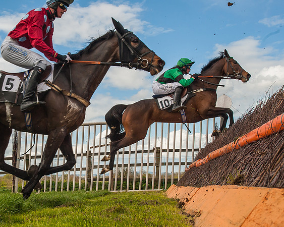 Race 3 - 4-5-6 Year Olds Open Maiden-73