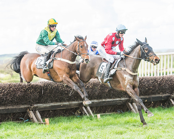 Race 3 - 4-5-6 Year Olds Open Maiden-75