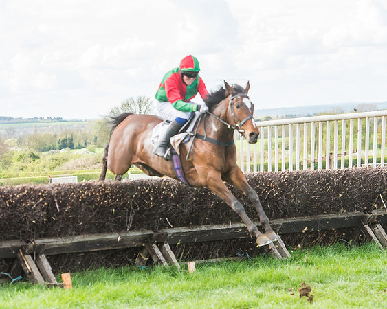 Race 3 - 4-5-6 Year Olds Open Maiden-76