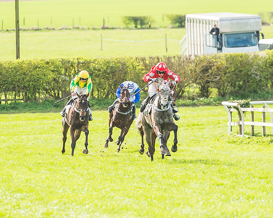 Race 3 - 4-5-6 Year Olds Open Maiden-77