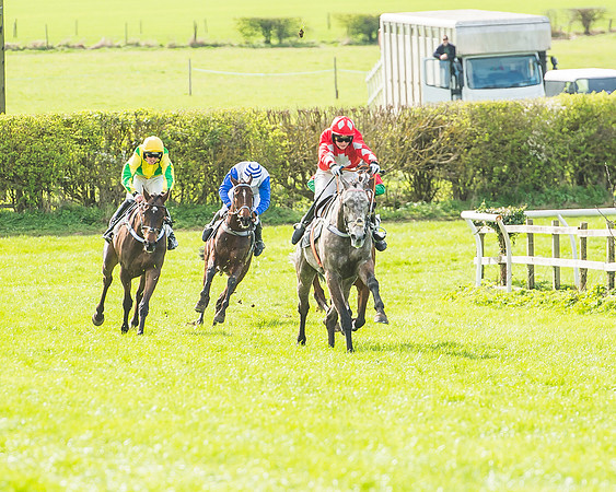 Race 3 - 4-5-6 Year Olds Open Maiden-78