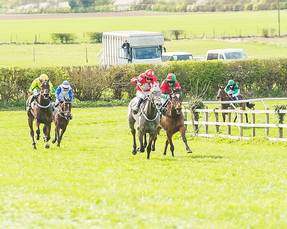Race 3 - 4-5-6 Year Olds Open Maiden-79