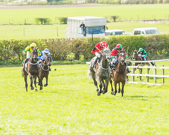 Race 3 - 4-5-6 Year Olds Open Maiden-80