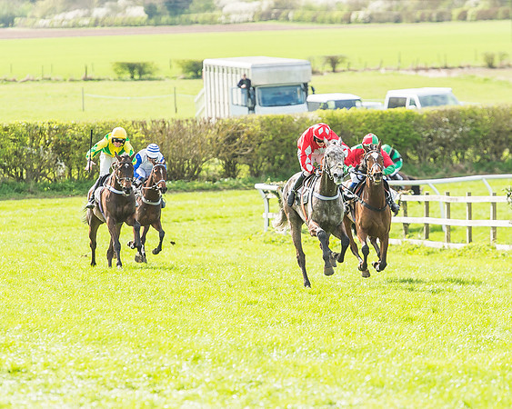 Race 3 - 4-5-6 Year Olds Open Maiden-81