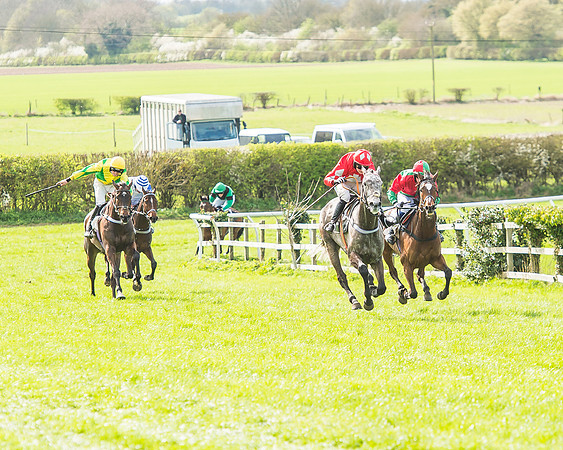 Race 3 - 4-5-6 Year Olds Open Maiden-82
