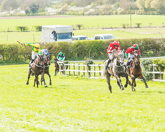 Race 3 - 4-5-6 Year Olds Open Maiden-83