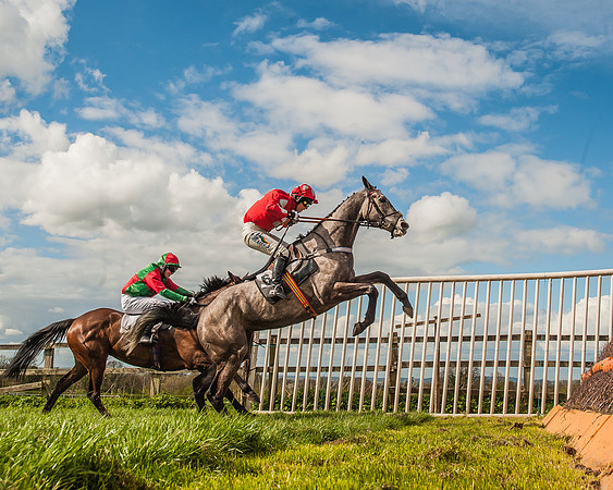 Race 3 - 4-5-6 Year Olds Open Maiden-84