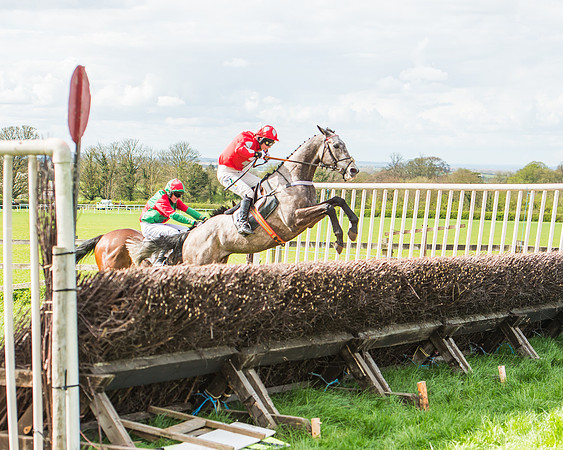 Race 3 - 4-5-6 Year Olds Open Maiden-87