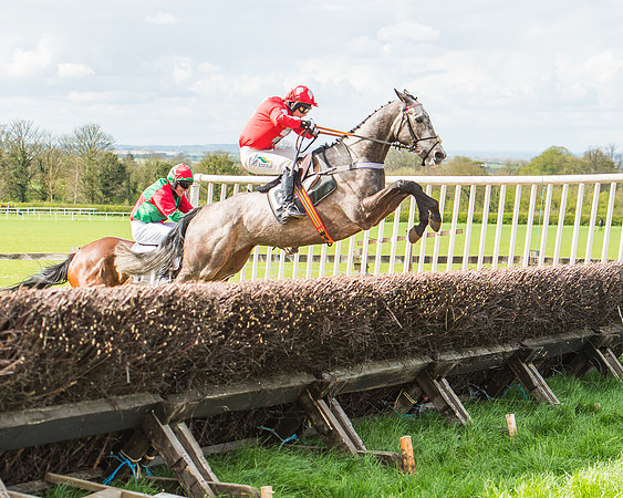 Race 3 - 4-5-6 Year Olds Open Maiden-88