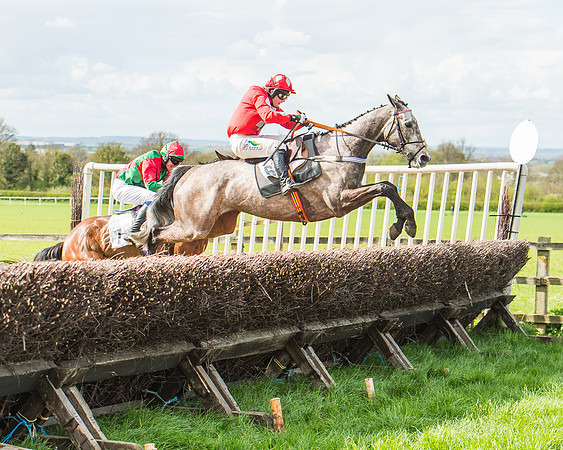 Race 3 - 4-5-6 Year Olds Open Maiden-89