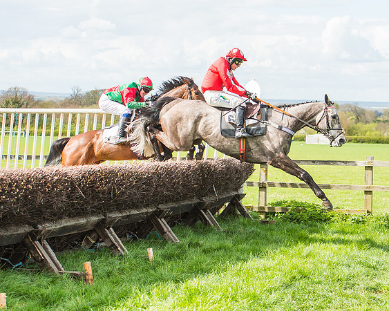 Race 3 - 4-5-6 Year Olds Open Maiden-91