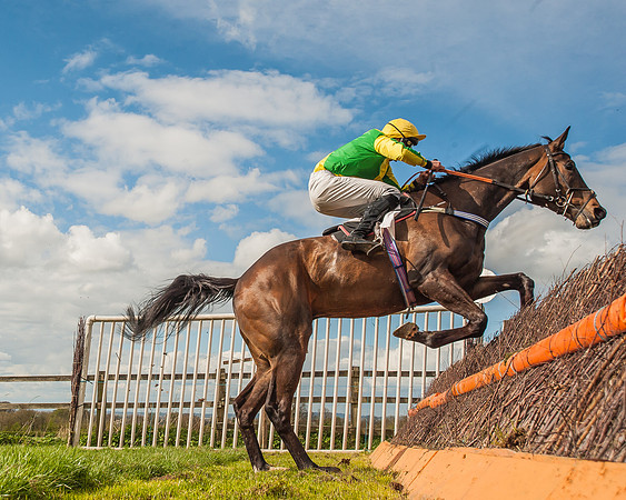 Race 3 - 4-5-6 Year Olds Open Maiden-95