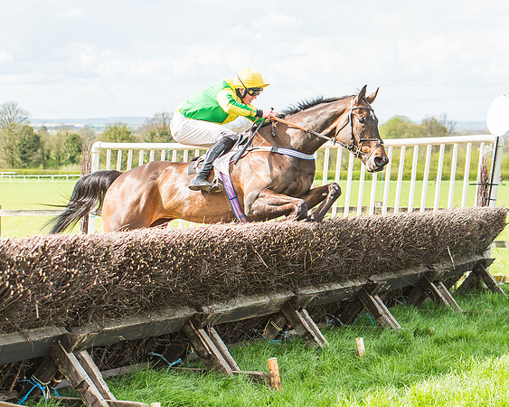 Race 3 - 4-5-6 Year Olds Open Maiden-96