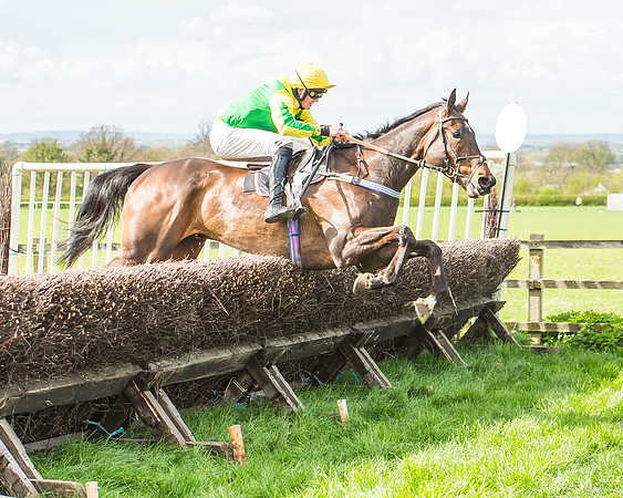Race 3 - 4-5-6 Year Olds Open Maiden-97