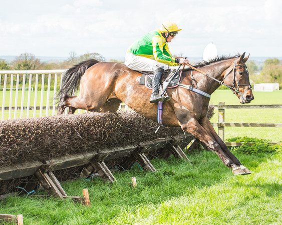Race 3 - 4-5-6 Year Olds Open Maiden-98