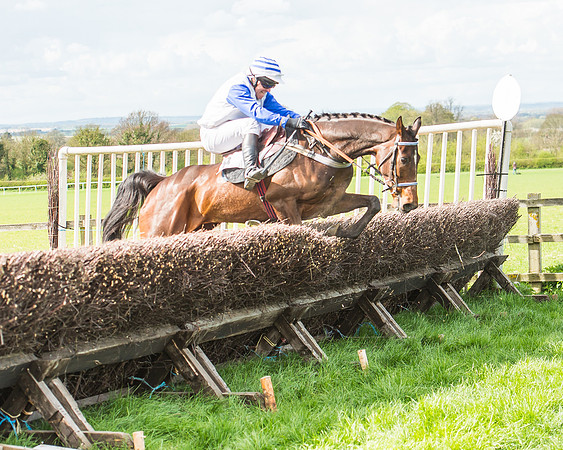 Race 3 - 4-5-6 Year Olds Open Maiden-99