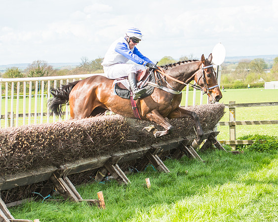 Race 3 - 4-5-6 Year Olds Open Maiden-100