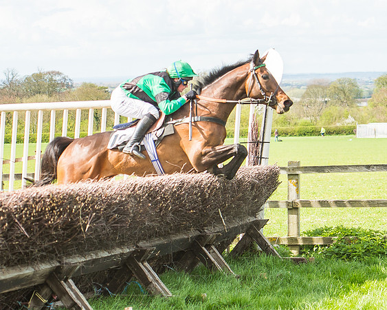 Race 3 - 4-5-6 Year Olds Open Maiden-102