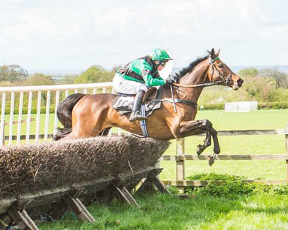 Race 3 - 4-5-6 Year Olds Open Maiden-103