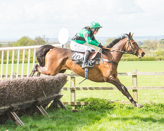 Race 3 - 4-5-6 Year Olds Open Maiden-104